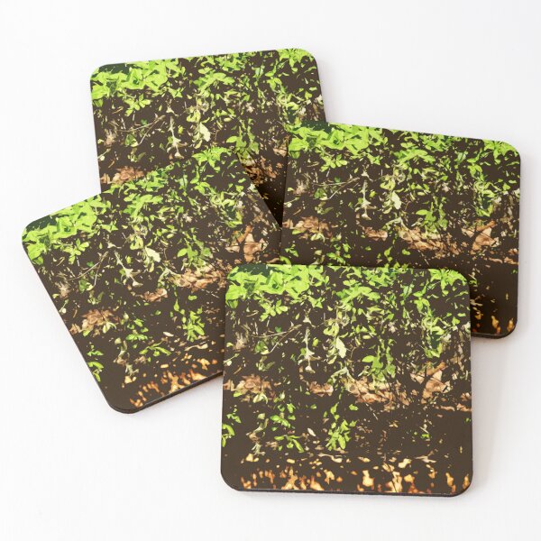 Item preview, Leaves, plant, tree designed and sold by citravisuel.