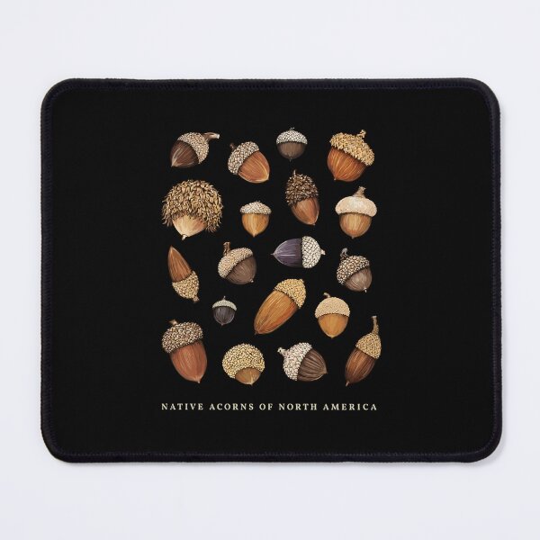 Item preview, Native Acorns of North America Tree Botanical Identification designed and sold by Designart68.