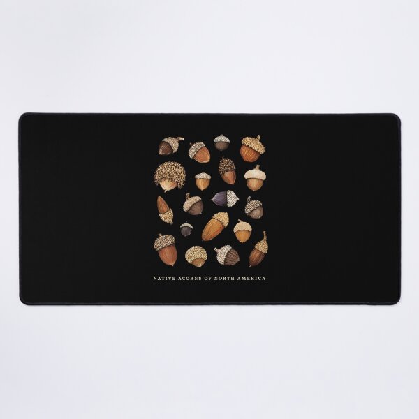 Item preview, Native Acorns of North America Tree Botanical Identification designed and sold by Designart68.