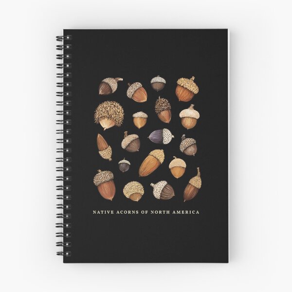Item preview, Native Acorns of North America Tree Botanical Identification designed and sold by Designart68.