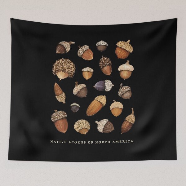 Item preview, Native Acorns of North America Tree Botanical Identification designed and sold by Designart68.