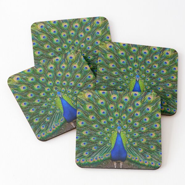 Item preview, Majestic Peacock Full Feather Fan Display designed and sold by Sybille-Yates.