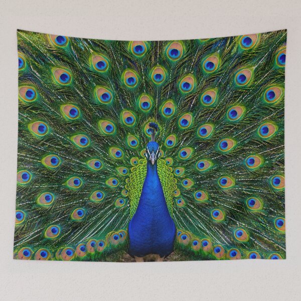 Item preview, Majestic Peacock Full Feather Fan Display designed and sold by Sybille-Yates.