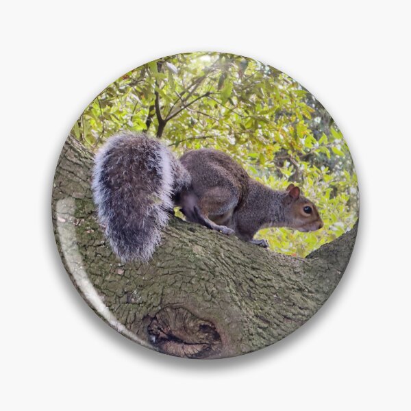 Item preview, Curious Grey Squirrel on an Ancient Tree Branch Wildlife Photography designed and sold by leonwoods.