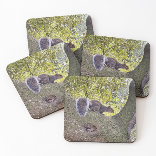 Item preview, Curious Grey Squirrel on an Ancient Tree Branch Wildlife Photography designed and sold by leonwoods.