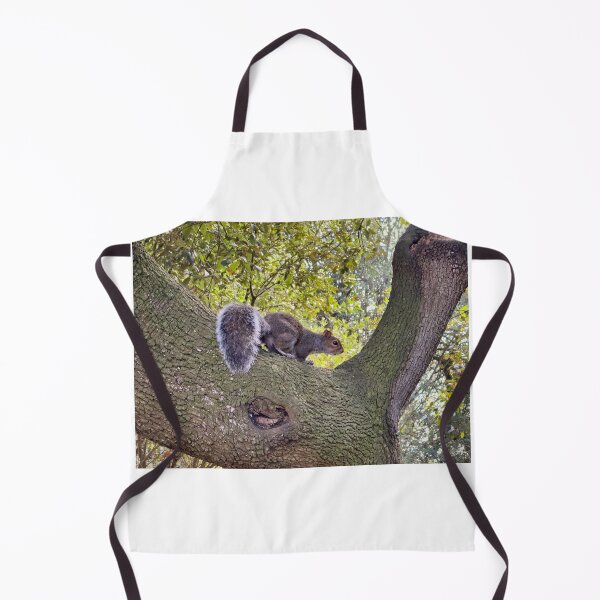 Item preview, Curious Grey Squirrel on an Ancient Tree Branch Wildlife Photography designed and sold by leonwoods.
