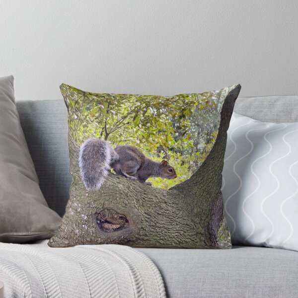Item preview, Curious Grey Squirrel on an Ancient Tree Branch Wildlife Photography designed and sold by leonwoods.