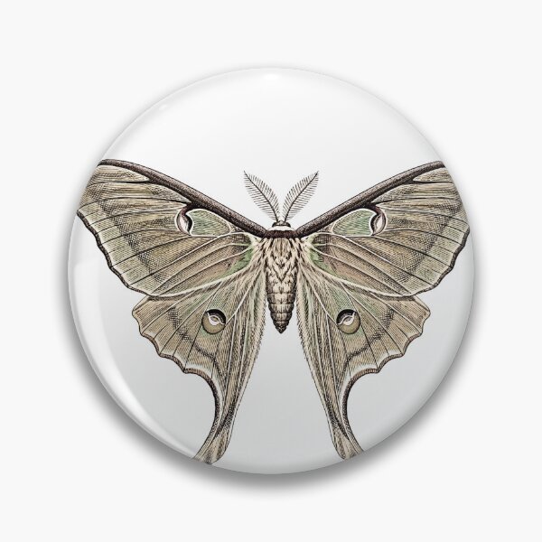 Item preview, Luna Moth Shirt, Dark Academia Insect Tee, Gothic Nature Gift designed and sold by thestevebro.
