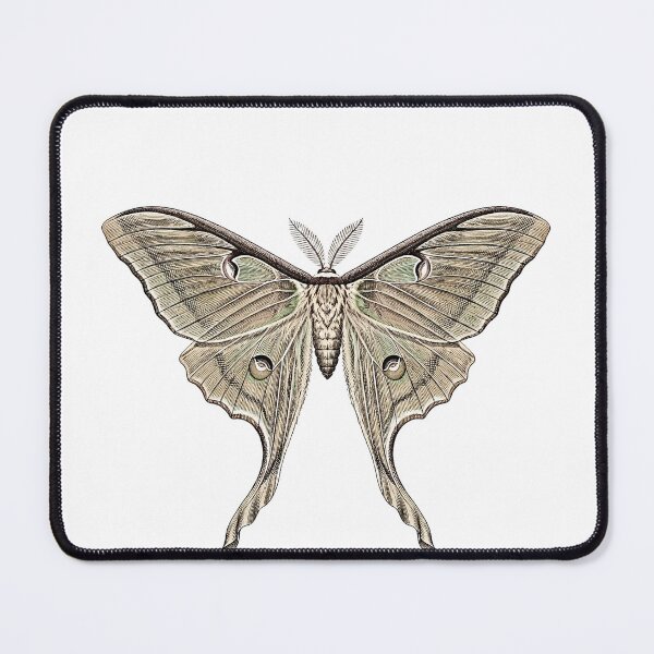 Item preview, Luna Moth Shirt, Dark Academia Insect Tee, Gothic Nature Gift designed and sold by thestevebro.