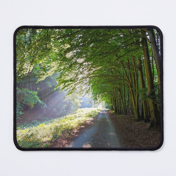 Item preview, Light and shadow in the forest designed and sold by Cosmic Landscapes.