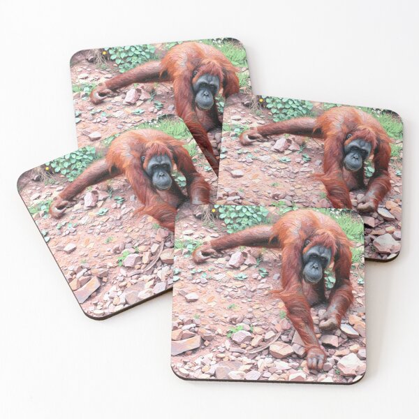 Item preview, Orangutan moving on the ground amidst rocks designed and sold by Nifashedji.