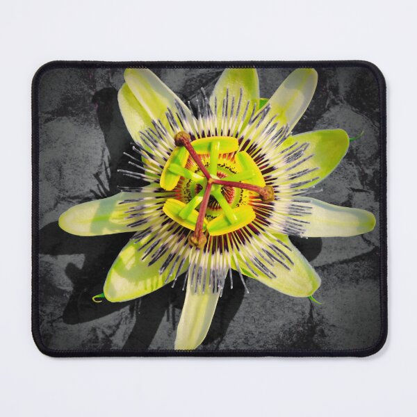 Item preview, Passion Flower designed and sold by JEZ22.