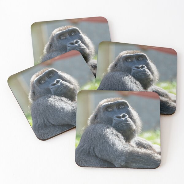 Item preview, Dreaming in the Sun - Shufai's Tranquil Day designed and sold by rawshutterbug.