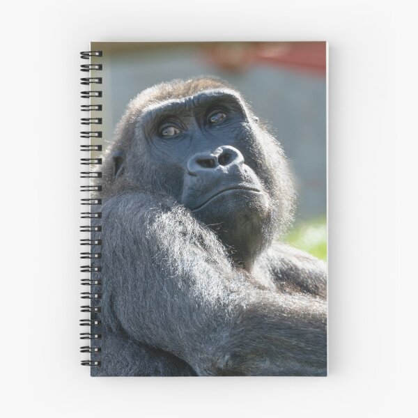 Item preview, Dreaming in the Sun - Shufai's Tranquil Day designed and sold by rawshutterbug.