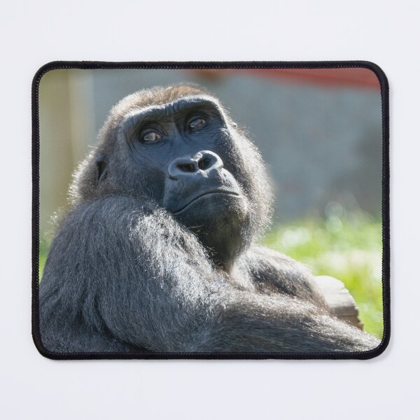 Item preview, Dreaming in the Sun - Shufai's Tranquil Day designed and sold by rawshutterbug.