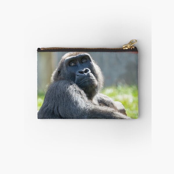 Item preview, Dreaming in the Sun - Shufai's Tranquil Day designed and sold by rawshutterbug.