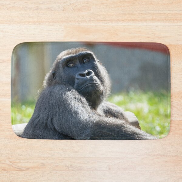 Item preview, Dreaming in the Sun - Shufai's Tranquil Day designed and sold by rawshutterbug.