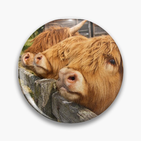 Item preview, The Good, The Bad, and The Fluffy designed and sold by Astute-Artio-Photography.