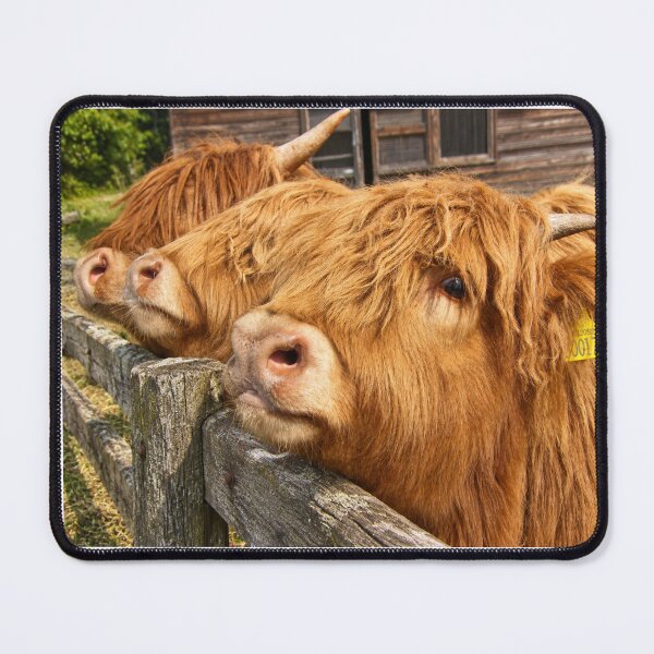 Item preview, The Good, The Bad, and The Fluffy designed and sold by Astute-Artio-Photography.
