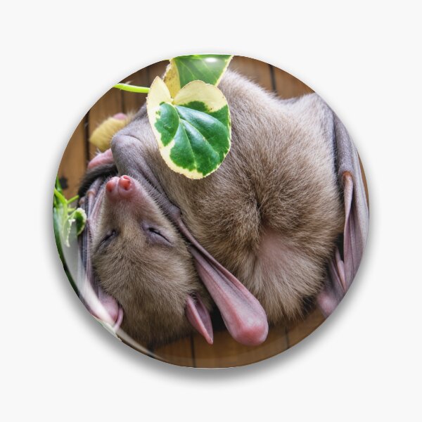 Item preview, Do Not Disturb, Professional Wing Taco designed and sold by Astute-Artio-Photography.