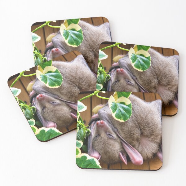 Item preview, Do Not Disturb, Professional Wing Taco designed and sold by Astute-Artio-Photography.