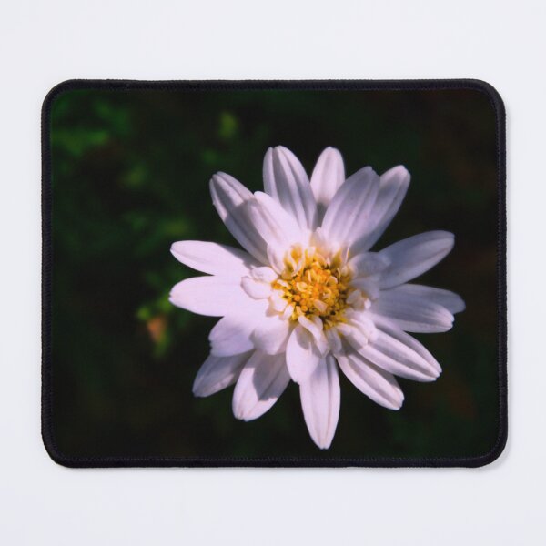 Item preview, Bloom designed and sold by JEZ22.