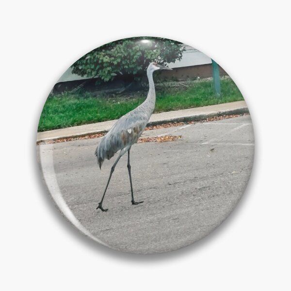Item preview, Grulla canadiense en el estacionamiento designed and sold by stuffinthings82.