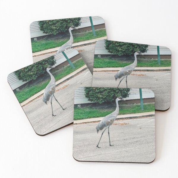 Item preview, Sand hill crane in parking lot designed and sold by stuffinthings82.