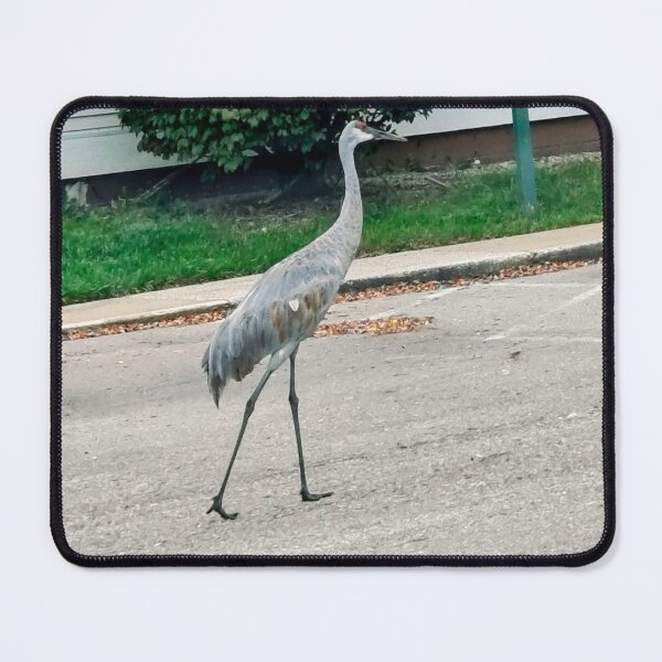 Item preview, Sand hill crane in parking lot designed and sold by stuffinthings82.