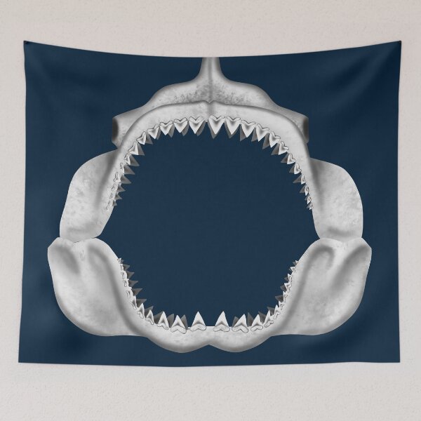 Item preview, Otodus Megalodon Shark Jaw And Skull designed and sold by JAMiron Paleoart.