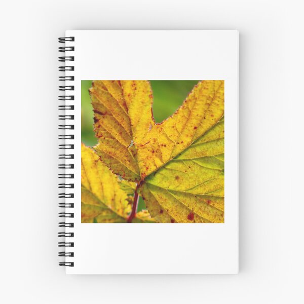 Item preview, Autumn leaves designed and sold by brookelucy photos.