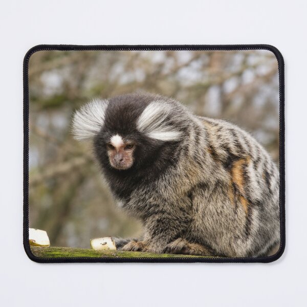 Item preview, The Morning After the Science Experiment designed and sold by Astute-Artio-Photography.