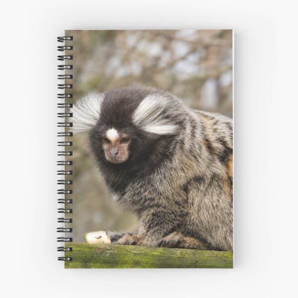 Item preview, The Morning After the Science Experiment designed and sold by Astute-Artio-Photography.