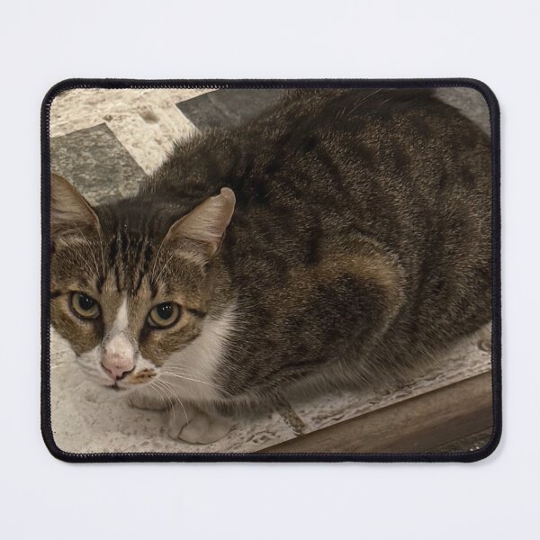 Item preview, Cat in Greece designed and sold by GeekyGirlsGarb.