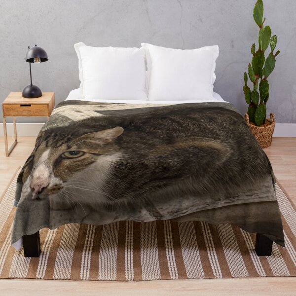 Item preview, Cat in Greece designed and sold by GeekyGirlsGarb.