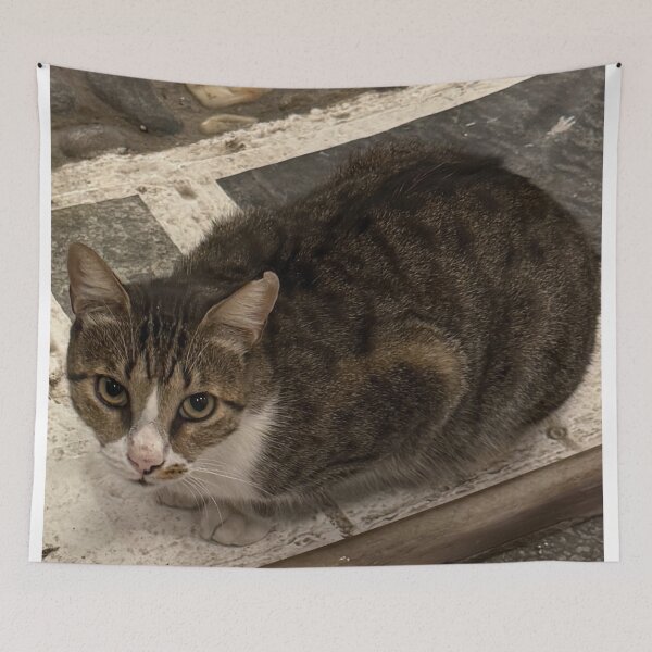 Item preview, Cat in Greece designed and sold by GeekyGirlsGarb.