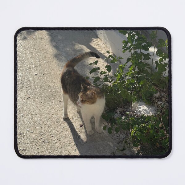 Item preview, Naxos Cat designed and sold by GeekyGirlsGarb.