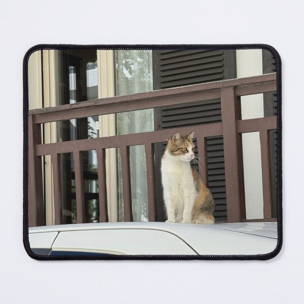 Item preview, Cat on Car Naxos Greece designed and sold by GeekyGirlsGarb.
