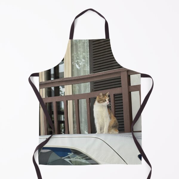 Item preview, Cat on Car Naxos Greece designed and sold by GeekyGirlsGarb.