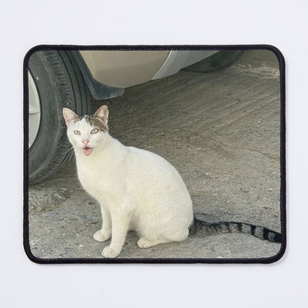 Item preview, Silly Cat designed and sold by GeekyGirlsGarb.