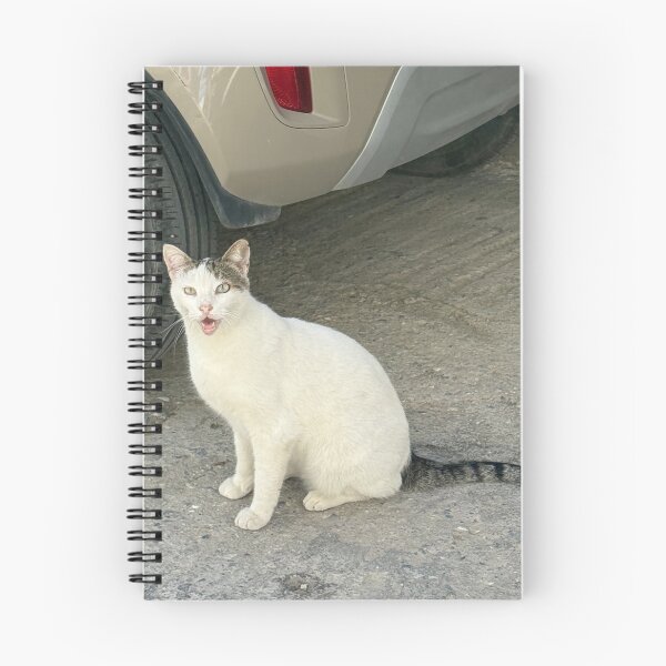 Item preview, Silly Cat designed and sold by GeekyGirlsGarb.