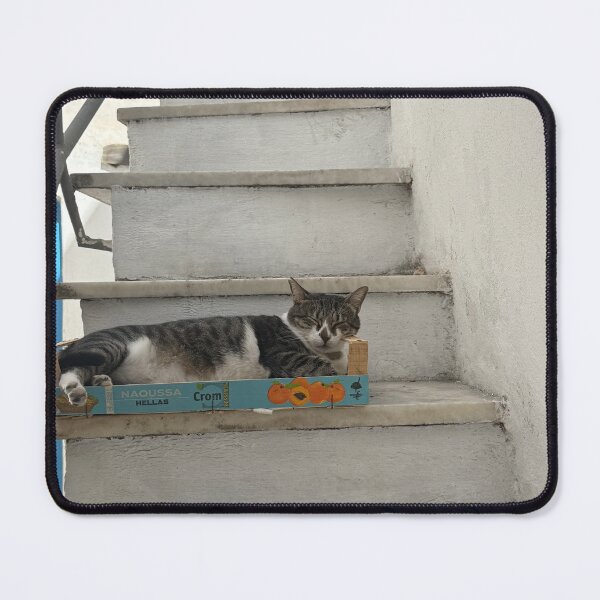 Item preview, Cat in a Fruit Box designed and sold by GeekyGirlsGarb.