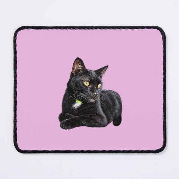 Item preview, Lollipop the Cat designed and sold by AnnaW1996.
