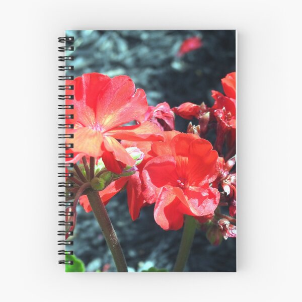Item preview, Red Geraniums designed and sold by Elysianart100.