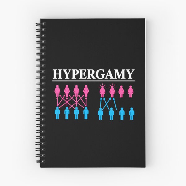 Item preview, Hypergamy Chart Funny Dating Strategy Meme Relationship Graphic designed and sold by Whirx.