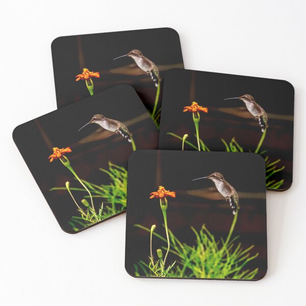 Item preview, Hummingbird Approaching Marigold 1x1 designed and sold by PhotoArtbyGrace.