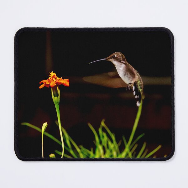 Item preview, Hummingbird Approaching Marigold 1x1 designed and sold by PhotoArtbyGrace.
