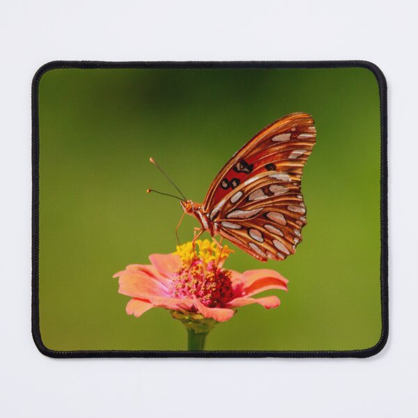 Item preview, Gulf Fritillary on Zinnia designed and sold by PhotoArtbyGrace.