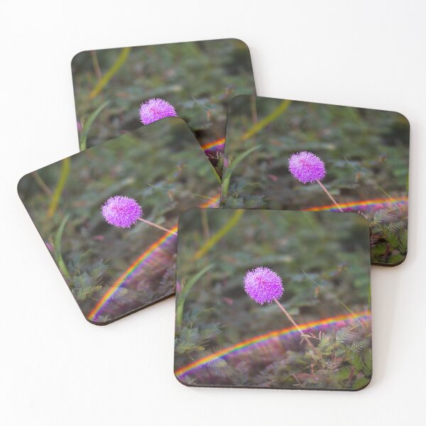 Aperçu de l'œuvre Fleur sauvage avec arc-en-ciel créée et vendue par PhotoArtbyGrace.