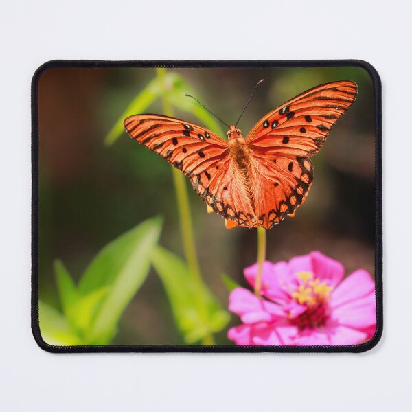 Item preview, Orange Butterfly on Mixed Color Zinnias designed and sold by PhotoArtbyGrace.